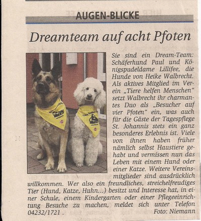 1-Dreamteam-auf-acht-Pfoten