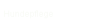 Hundepflege